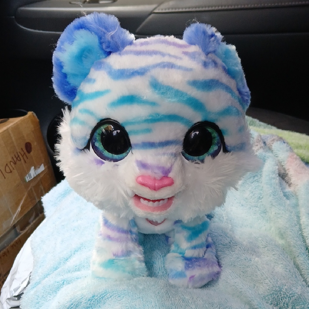 North the Sabertooth Kitty